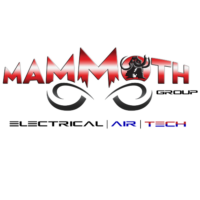 Mammoth Group